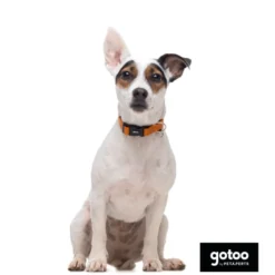 Gotoo Collar de nylon reflectante naranja para perros