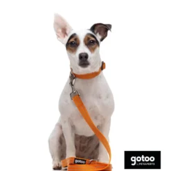 Gotoo Collar de nylon reflectante naranja para perros
