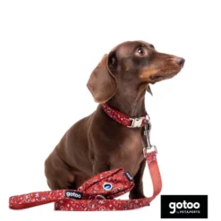 Gotoo Collar estampado cachemira rojo para perros