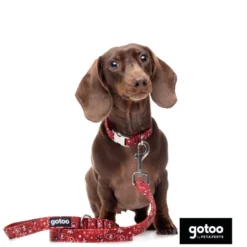 Gotoo Collar estampado cachemira rojo para perros