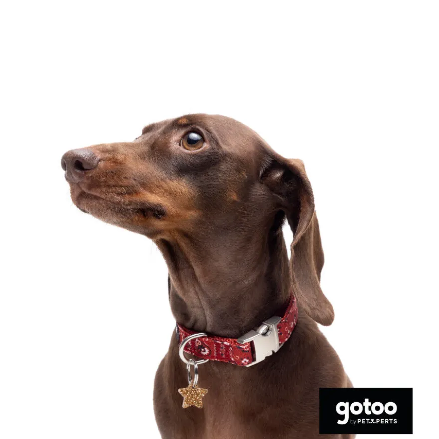 Gotoo Collar estampado cachemira rojo para perros