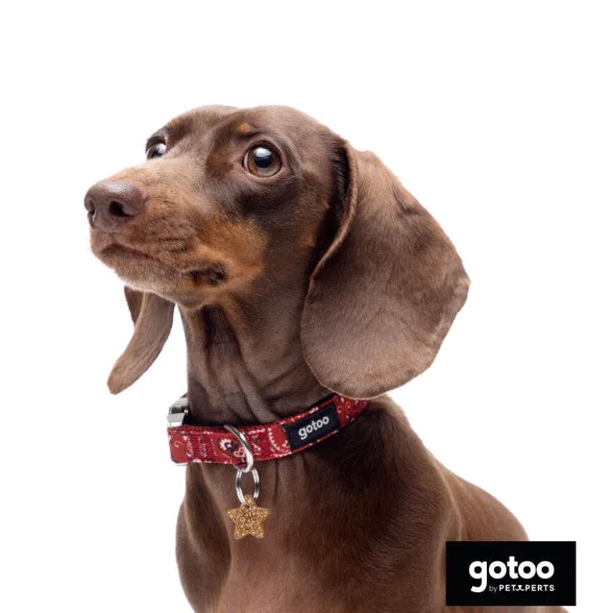 Gotoo Collar estampado cachemira rojo para perros