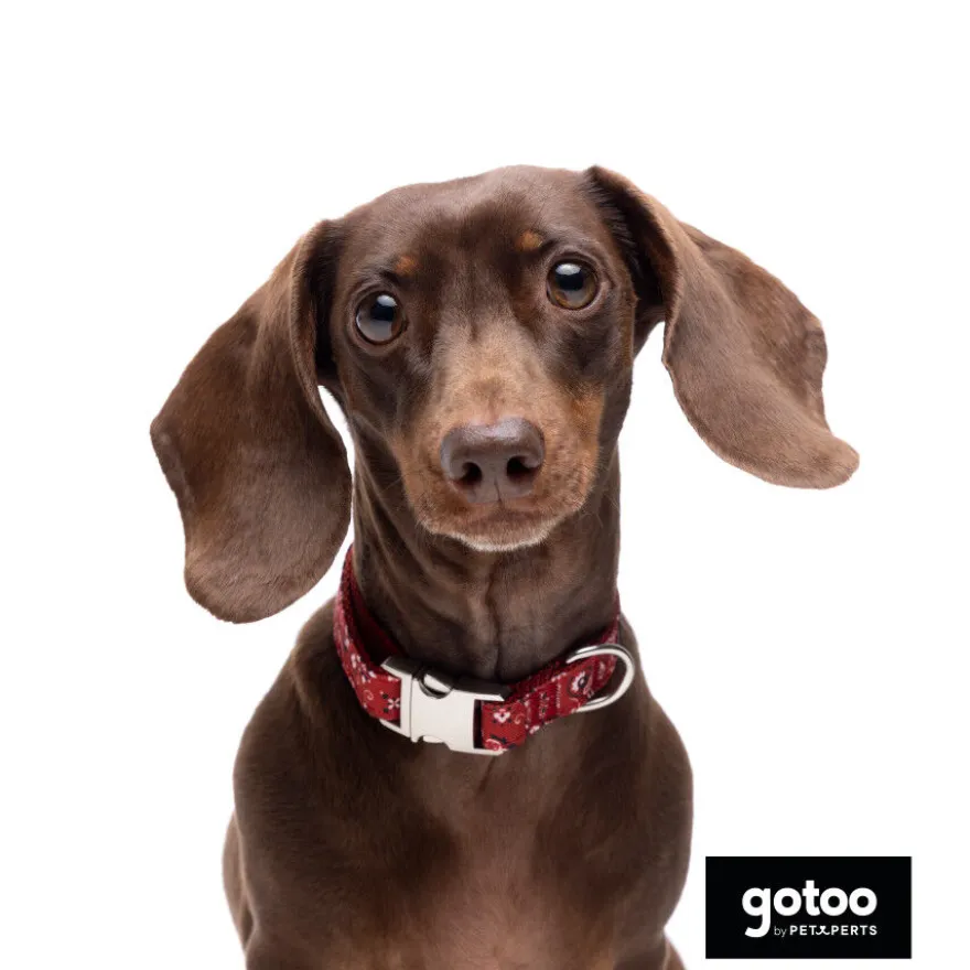Gotoo Collar estampado cachemira rojo para perros