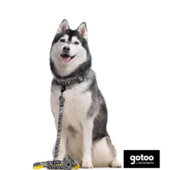 Gotoo Collar estampado zebra para perros