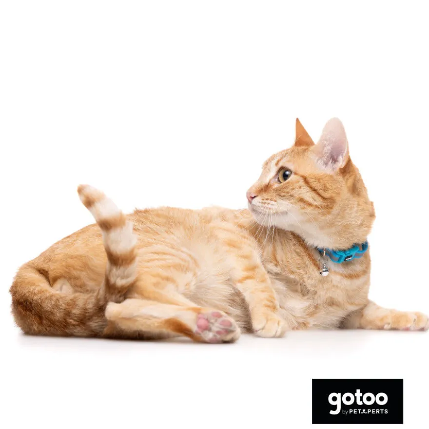 Gotoo Collar reflectante azul para gatos