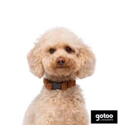 Gotoo Collar teddy marrón para perros