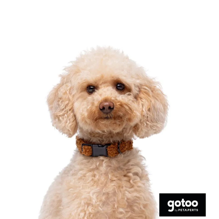 Gotoo Collar teddy marrón para perros