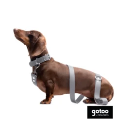 Gotoo Correa Biothane gris para perros