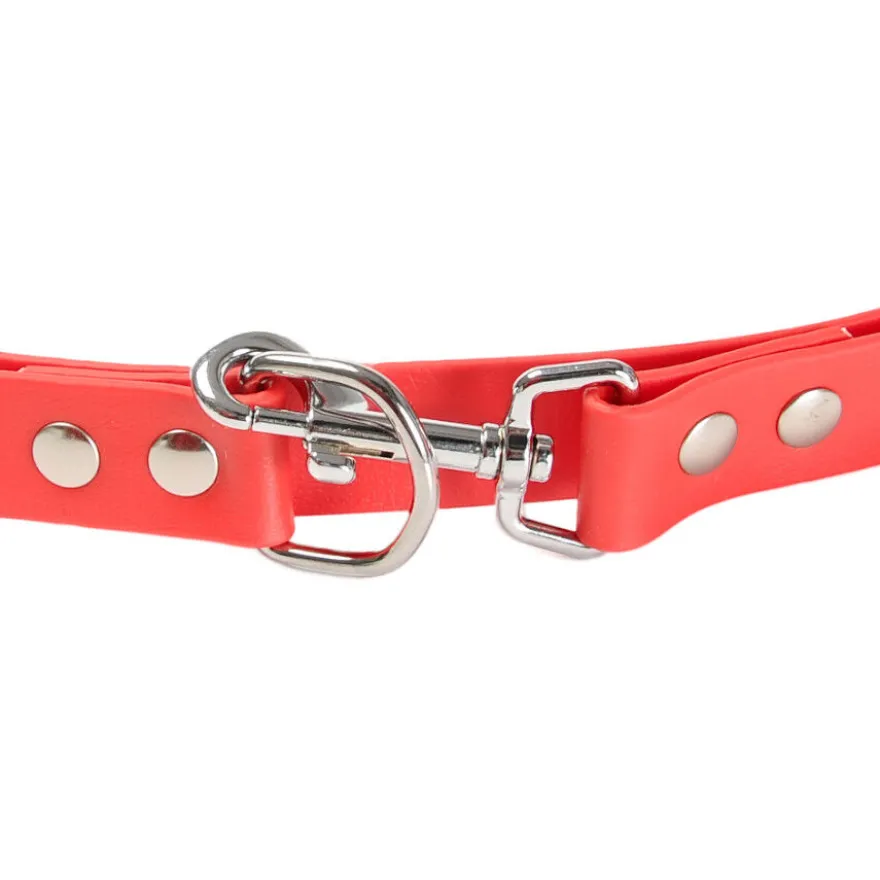 Gotoo Correa Biothane roja para perros