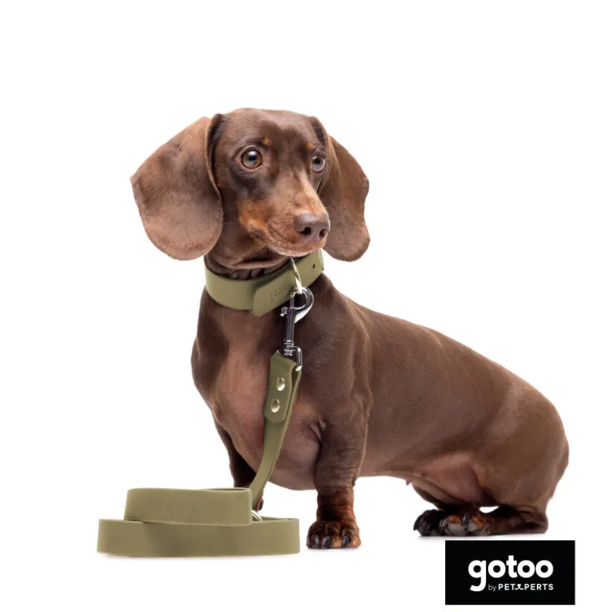 Gotoo Correa Biothane verde oliva para perros