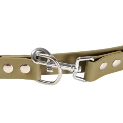 Gotoo Correa Biothane verde oliva para perros