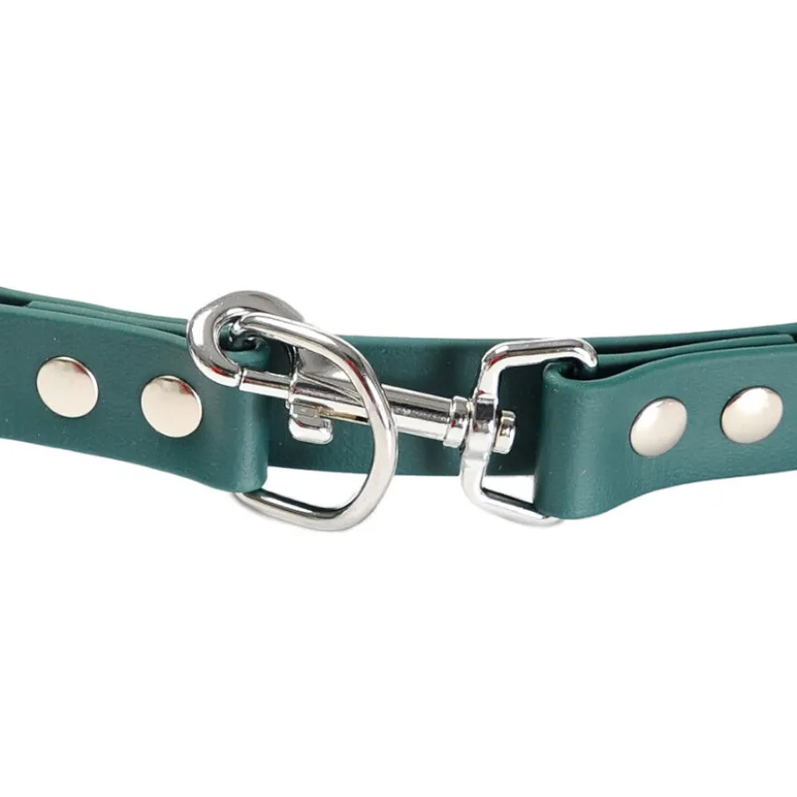 Gotoo Correa Biothane verde para perros