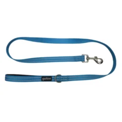 Gotoo Correa de nylon reflectante azul para perros