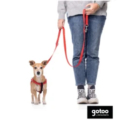 Gotoo Correa de nylon roja reflectante para perros