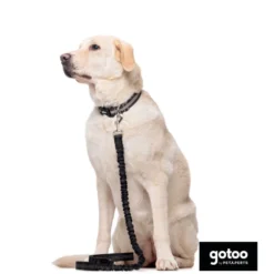 Gotoo Correa doble de nylon negra para perros
