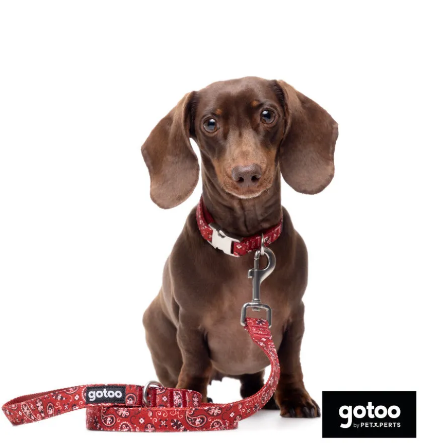 Gotoo Correa estampada cachemira rojo para perro