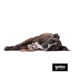 Gotoo Correa estampada leopardo perros