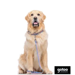 Gotoo Correa estampada rayas zig-zag para perros