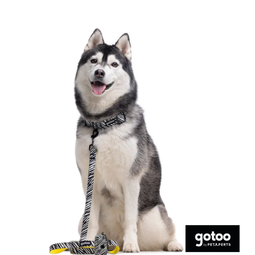 Gotoo Correa estampada zebra para perros