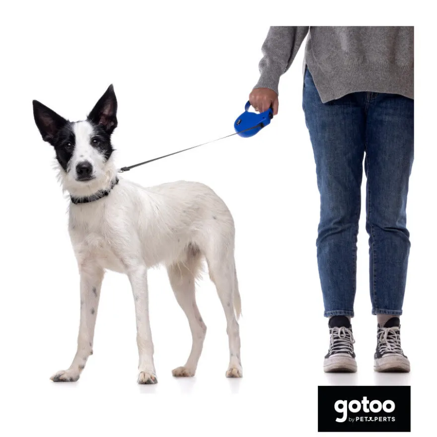 Gotoo Correa extensible azul para perros