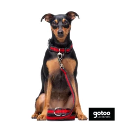 Gotoo Correa reflectante de malla roja para perro