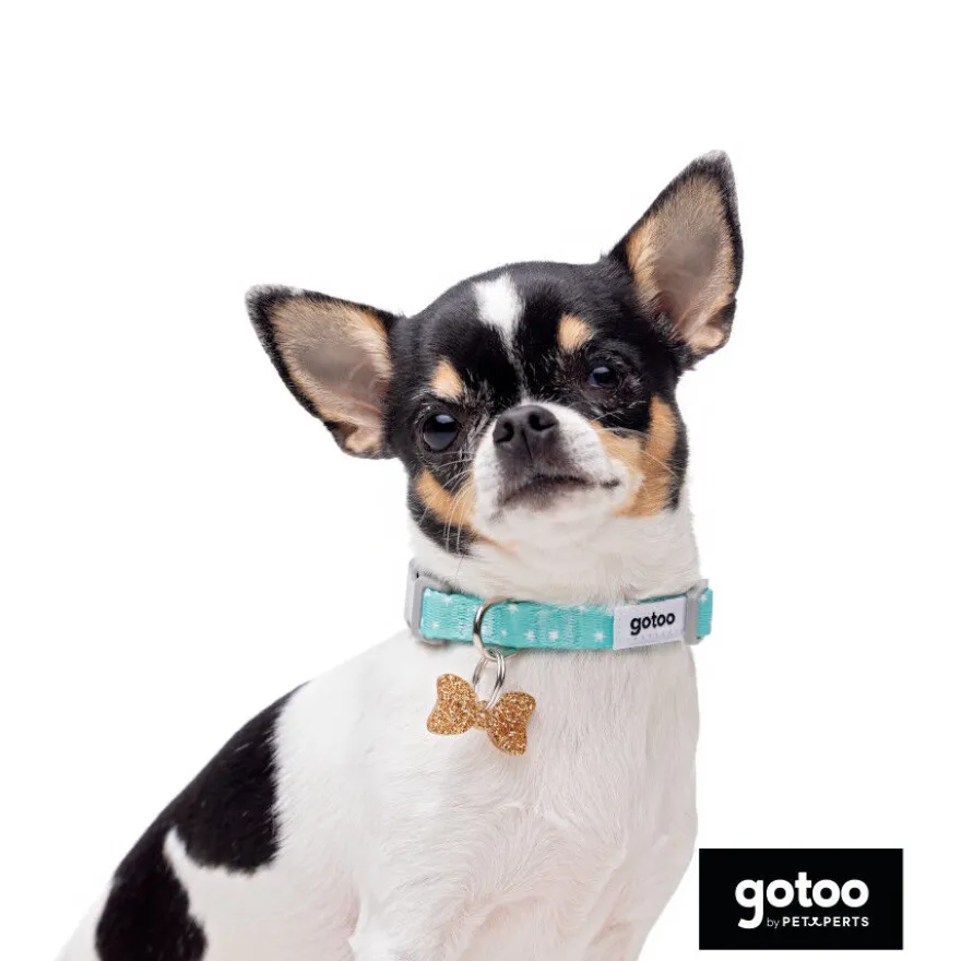 Gotoo Set Correa y Collar estampado con estrellas verde para perros