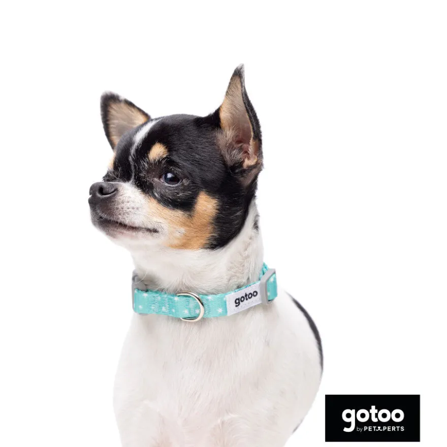 Gotoo Set Correa y Collar estampado con estrellas verde para perros