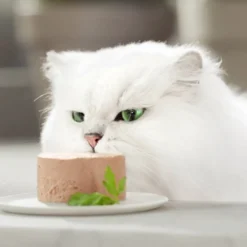 Gourmet Gold Mousse de Pollo lata para gatos