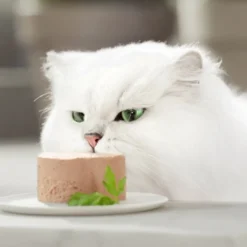 Gourmet Gold Mousse de Salmón lata para gatos