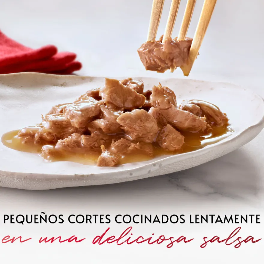 Gourmet Mon Petit Selección Aves en salsa sobre para gatos