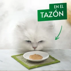 Gourmet Nature’s Creations Snack Húmedo de Buey para gatos