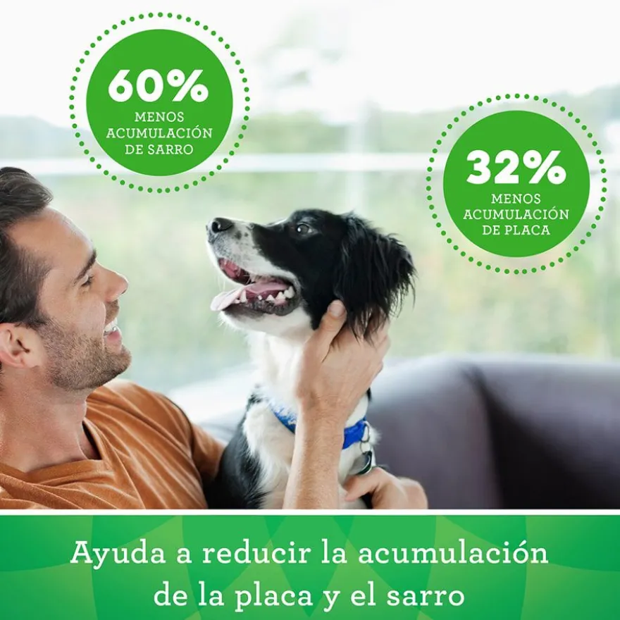 Greenies Petite Snacks Dentales Naturales para perros pequeños