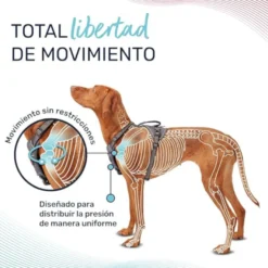 Halti arnés anatómico con asa gris para perros