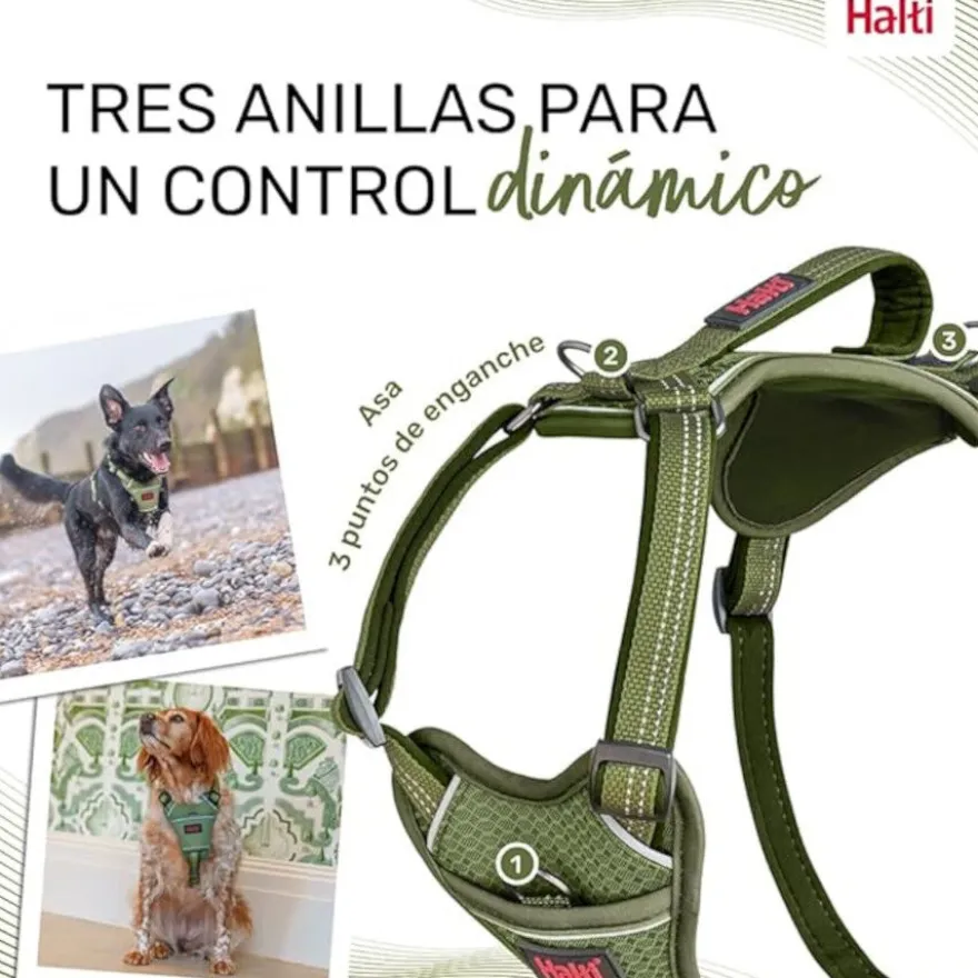 Halti arnés anatómico con asa verde para perros