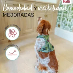 Halti arnés anatómico con asa verde para perros