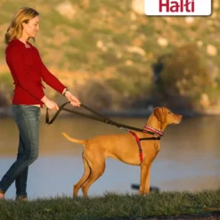 Halti Arnés de Adiestramiento Antitirones para perros
