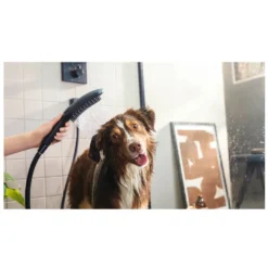 Hansgrohe Alcachofa de Ducha Negra para perros