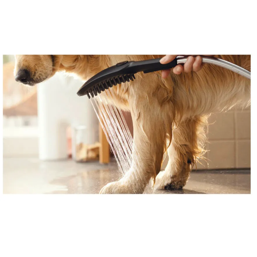 Hansgrohe Alcachofa de Ducha Negra para perros