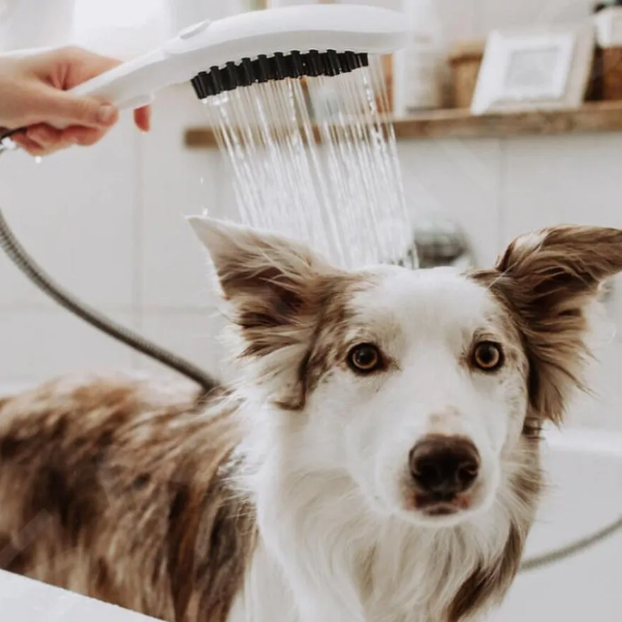 Hansgrohe Alcachofa de Ducha Blanca para perros