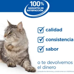 Hill's Adult Science Plan Sensitive Stomach Pollo pienso para gatos