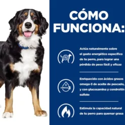 Hill's Prescription Diet Canine j/d Metabolic + Mobility lata para perros