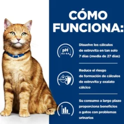 Hill's Prescription Diet c/d Urinary Care Pollo lata para gatos