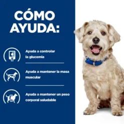 Hill's Prescription Diet Diabetes Care w/d Pollo pienso para perros
