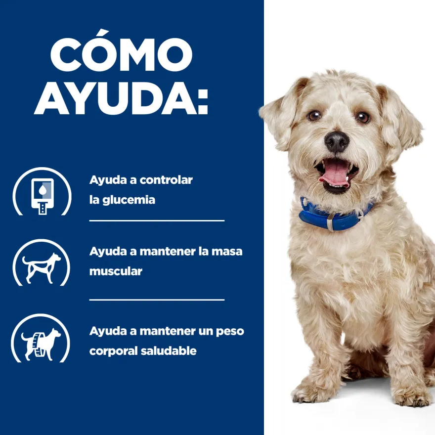 Hill's Prescription Diet Diabetes Care w/d Pollo pienso para perros