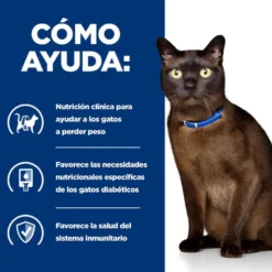 Hill's Prescription Diet Diabetes care Pollo pienso para gatos