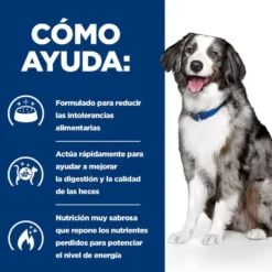 Hill's Prescription Diet Digestive Care i/d pienso para perros