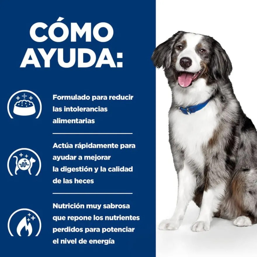 Hill's Prescription Diet Digestive Care i/d pienso para perros