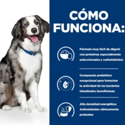 Hill's Prescription Diet Digestive Care i/d pienso para perros