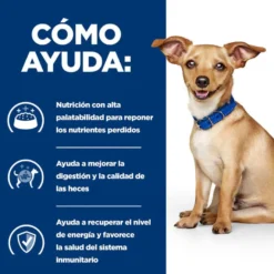 Hill's Prescription Diet Digestive Care i/d Perros Lata Estofado Pollo y Verduras