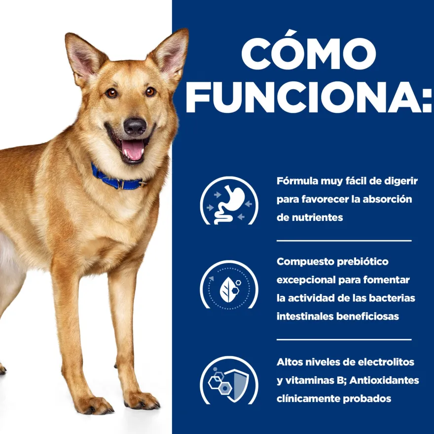 Hill's Prescription Diet Digestive Care i/d Perros Pavo lata